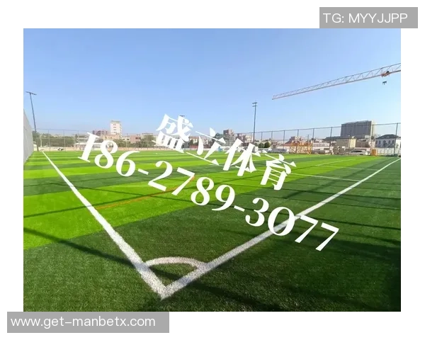 足球场人工草价格分析及影响因素探讨助您选择最佳方案